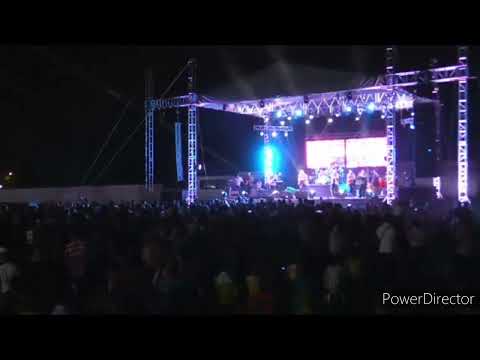 Pollito con papas - Jaltipan Ver 2022