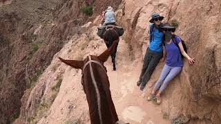 Grand Canyon Mule Rides - down gameplay video by eschmitt, 3:18 duration