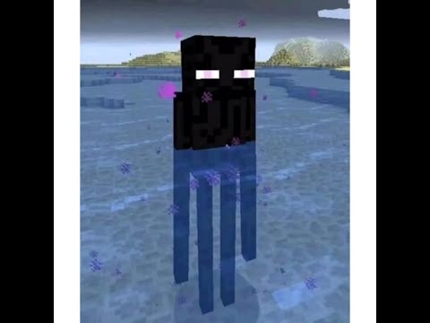 TheFlamingTurtle - cursed minecraft images that will make you scream SO LOUD