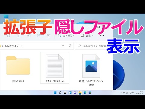 安全な秘密フォルダーはありません: 隠しファイルを表示するのは非常に簡単です