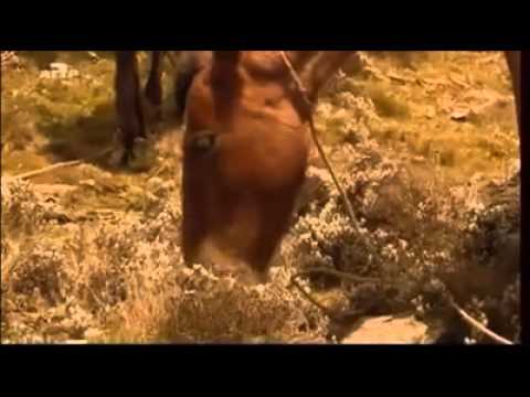 Ethiopia, the blessed land.