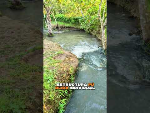 🔥 ¡INVIERTE EN TIERRA! PARCELAS EN SAN CARLOS DE GUAROA, META 🌱