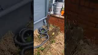 Album cover: Drain Cleaning 