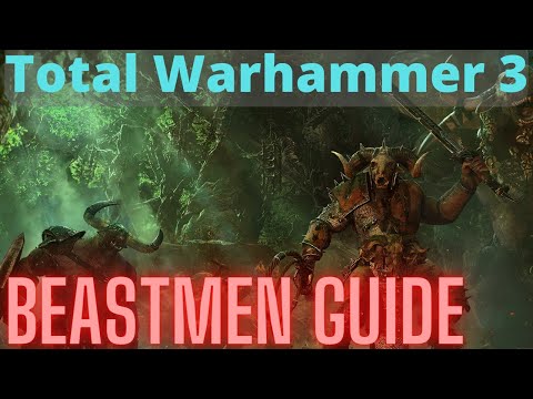 Beastmen In Depth Guide! TW3 Immortal Empires
