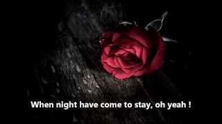 The Red Rose Music Video