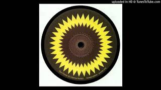 Lenny Kravitz - Sunflower (Dj Spinna Remix)
