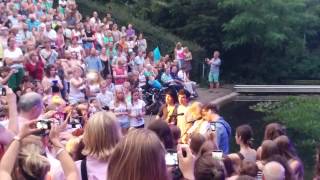 The common linnets @ Caprera - Love goes on