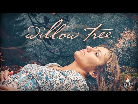 Fyerfly - Willow Tree (official video) Sensual Sadcore Blues Americana Slowcore Lofi Relaxing Folk