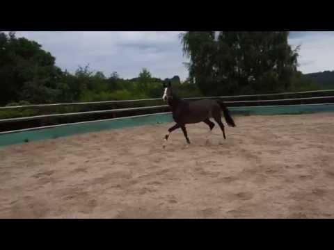 3j olympic fire stute