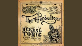 The Herbaliser - Gadget Funk video