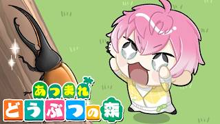 【 あつ森 / 雑談 】またーり話しながら釣りとかする？【 皇れお  / にじさんじ 】