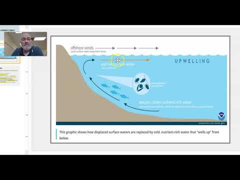 Introduction to Upwelling