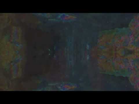 Rorschach - Counterflip Replication DXM+DPH