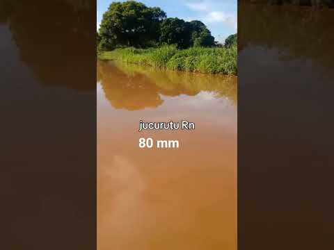 após chuva de 80 mm#chuvas #jucurutu#Rn