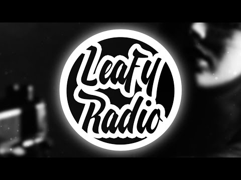 deadmau5 - Raise Your Weapon (Hex Cougar Remix)