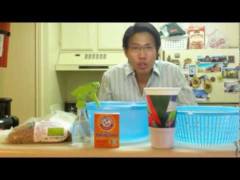 การเยียวยาพื้นบ้านสำหรับความอ่อนแอ วิธีการเพิ่มขนาดอวัยวะเพศชาย