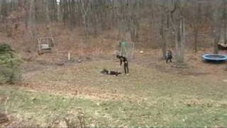 H*B-TV - Honor Bright Television Episode 7 [The Showdown Part 2]