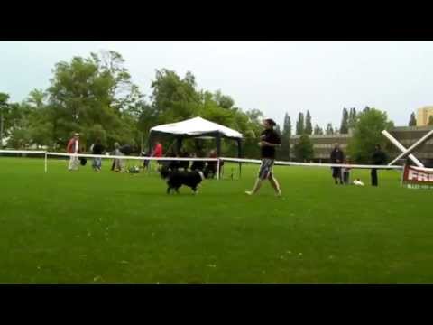 Yamina & Nala D-Day 2010-USDDN-Local