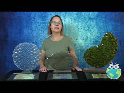 Modular Fused Glass Textures w/ Jodi McRaney-Rusho - TRAILER