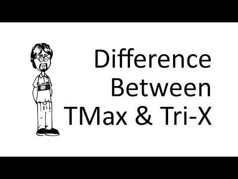 Download T Max Favorite Mp3 dan Mp4 Terlengkap Gratis