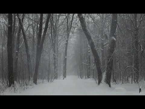 Цыганская песня. Борис Иванеску :"Мороз."