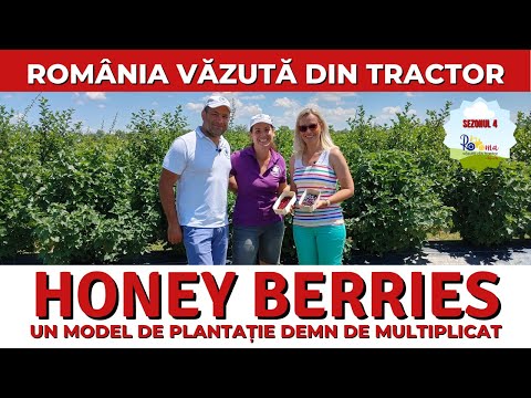 , title : 'Honey Berries, un model de plantație demn de multiplicat'