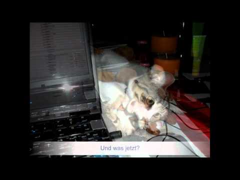 Willi allein zu Haus