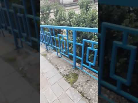 URPITUCHA DE MI PUEBLO #Paruro #cusco #peru