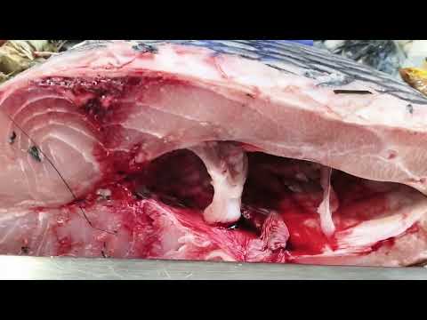 World famous My chicken and more amezing fish varieties offers #explore #viralvideo #youtubeshorts 