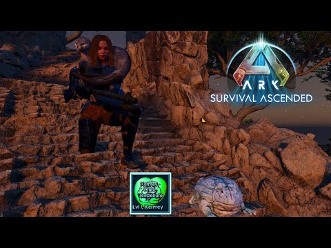Ark Survival Ascended: Chibi Info