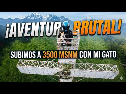 3,500 Metros de Altura con mi Gato: &iquest;Fue una Mala Idea? 