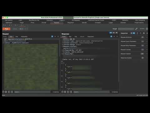 Write up Esfiltrazione del Database PostgreSQL attraverso l'abuso di richieste PostgREST