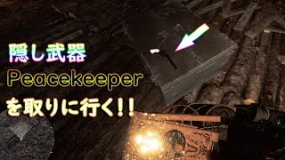 【BF1】隠し武器！？Peacekeeperを取りに行く【イースターエッグ】