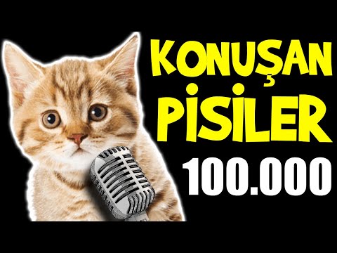 Konuşan Pisiler 100.000 - En Komik Kedi Videoları