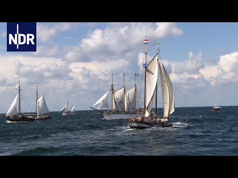 Stress für Schlepper zur Hanse Sail | die nordreportage | NDR Doku