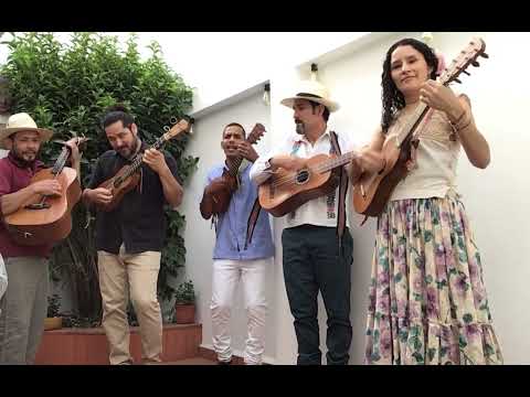 Los Vega Son Jarocho video