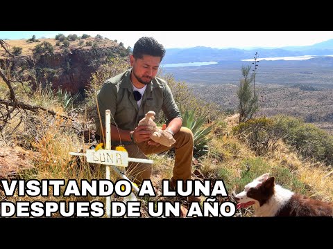 Visiting Luna After A Year