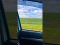 Giant Bird Runs Faster Than A Car Race Car Bigbird Ostrich Emu Giantbird Bird Birdmemes