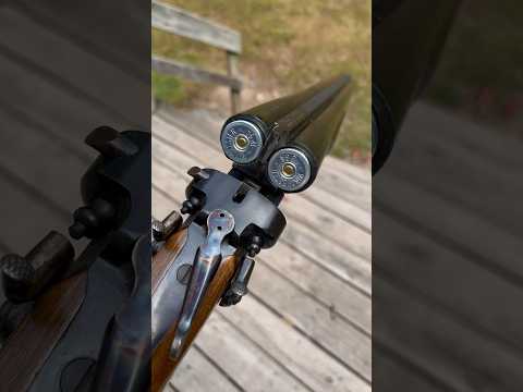 Double Barrel Coach Gun