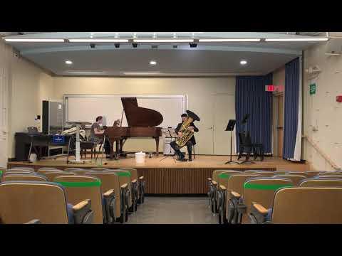 Lebedev Concerto in One Movement