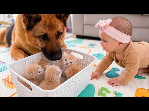 YouTube 썸네일