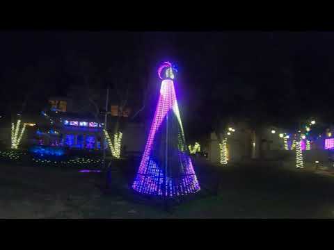 Peace Family Light Show