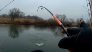 Рыбалка в белгороде и области.fishka club