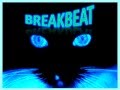 BreaksMafia @ Winter festival 2013 
