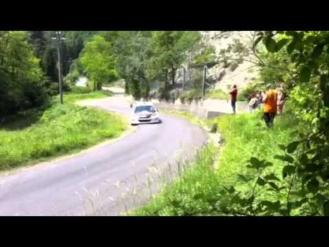 Rally coppa d oro 2014 super passaggio Ferrara 207 s2000