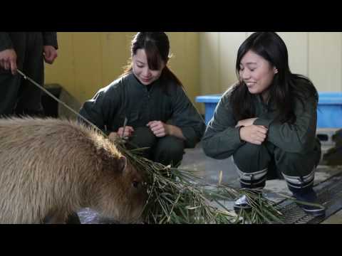 農学部 動物科学科（※2018年4月 畜産学科より名称変更）