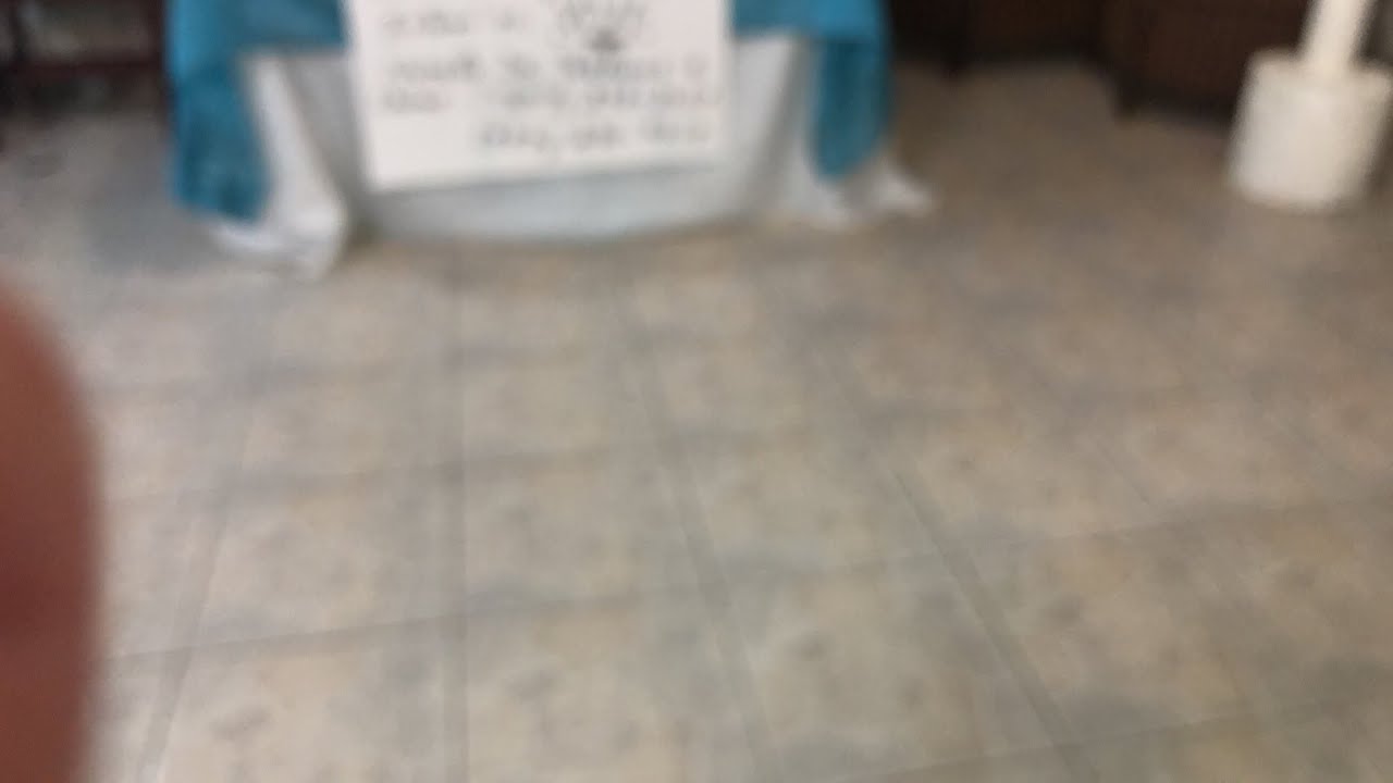 Rosa Pérez  - Ministerio Internacional Leon de Juda Inc