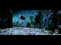 SATYAM Chellame Chellame DOLBY DIVX Avi
