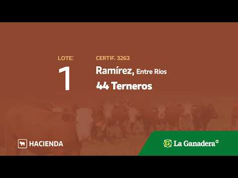 Lote Terneros Ramírez