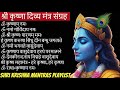 Powerful Shri Krishna Mantras Playlist Daily Chanting For Positivity Peace